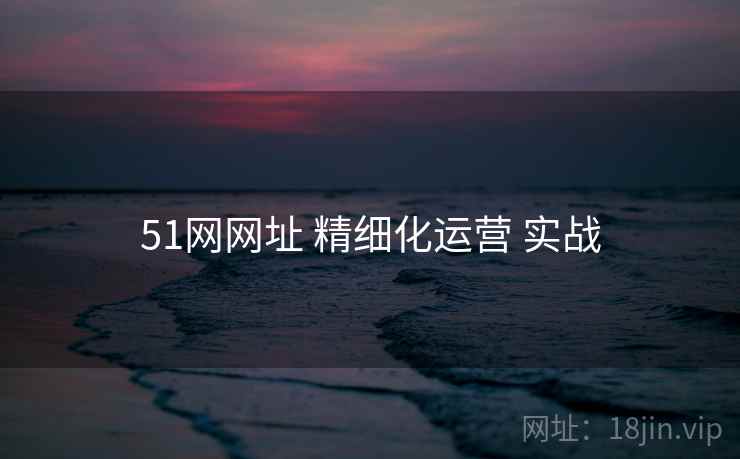 51网网址 精细化运营 实战 第2张 51网网址 精细化运营 实战 第2张
