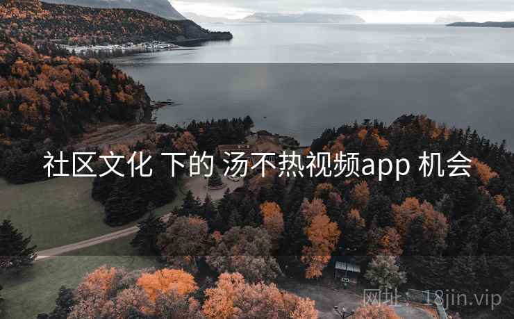 社区文化 下的 汤不热视频app 机会 第1张 社区文化 下的 汤不热视频app 机会 第1张