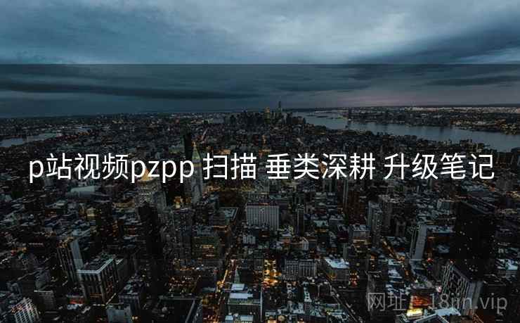 p站视频pzpp 扫描 垂类深耕 升级笔记 第2张 p站视频pzpp 扫描 垂类深耕 升级笔记 第2张