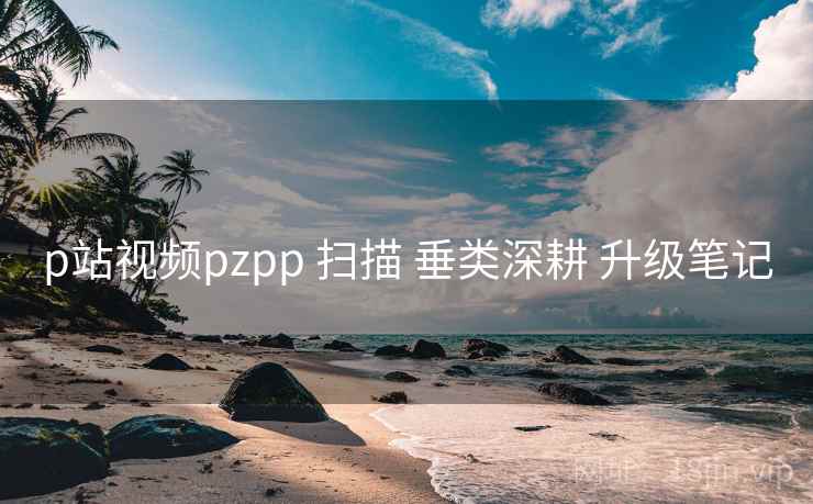 p站视频pzpp 扫描 垂类深耕 升级笔记 第1张 p站视频pzpp 扫描 垂类深耕 升级笔记 第1张
